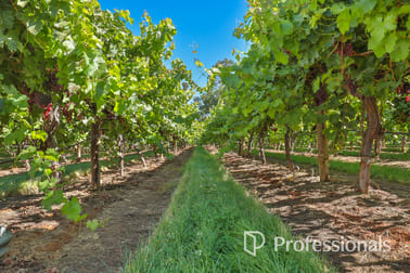 Level (Lot 2, PS911361M)/Cnr Twentieth Street & Boobook Avenue Cardross VIC 3496 - Image 2