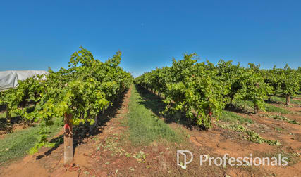 Level (Lot 2, PS911361M)/Cnr Twentieth Street & Boobook Avenue Cardross VIC 3496 - Image 3