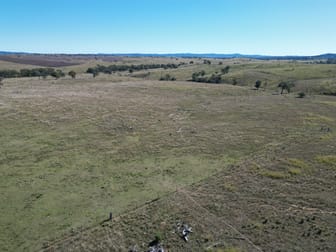 0 Emmaville Road Ashford NSW 2361 - Image 2