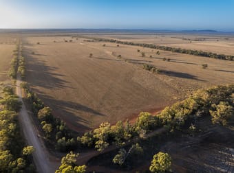 1489 Carlisle-Trundle Road Trundle NSW 2875 - Image 1
