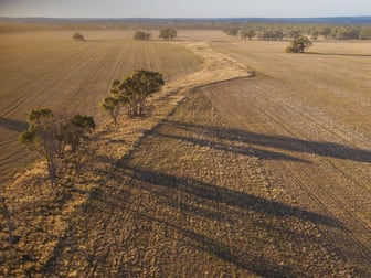1489 Carlisle-Trundle Road Trundle NSW 2875 - Image 2