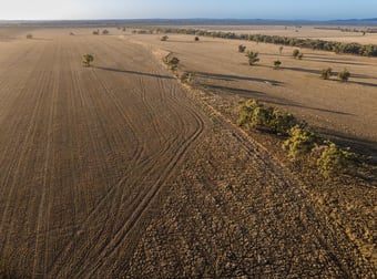 1489 Carlisle-Trundle Road Trundle NSW 2875 - Image 3
