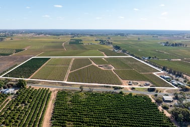 2 Balfour Ogilvy Avenue Loxton SA 5333 - Image 1