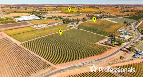 225 Stewart Road Red Cliffs VIC 3496 - Image 1