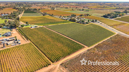 225 Stewart Road Red Cliffs VIC 3496 - Image 2