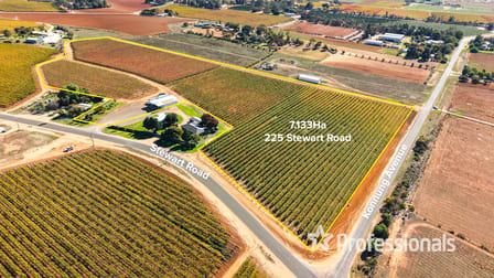 225 Stewart Road Red Cliffs VIC 3496 - Image 3