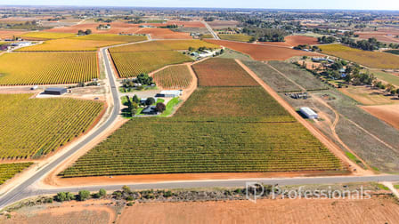 225 Stewart Road Red Cliffs VIC 3496 - Image 3