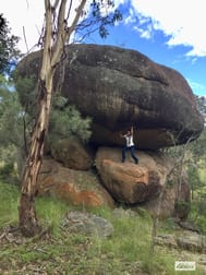 1717 Old Stanthorpe Road Cherry Gully QLD 4370 - Image 1