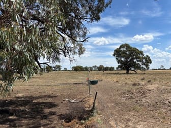 7712 Kidman Way Darlington Point NSW 2706 - Image 3