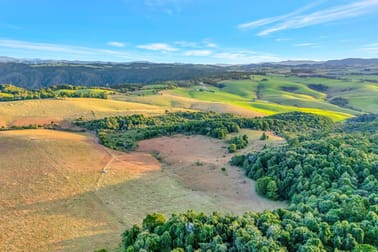 459 Dome Road Dorrigo NSW 2453 - Image 1