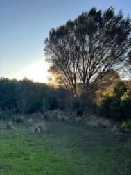 Lot 1 Bluff Road Whitemark TAS 7255 - Image 1
