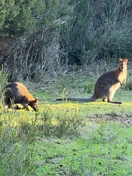 Lot 1 Bluff Road Whitemark TAS 7255 - Image 2