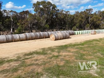 Lot 3 Albany Highway Narrikup WA 6326 - Image 3