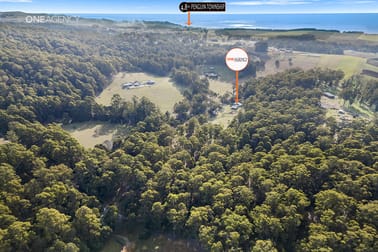 159 White Hills Road Penguin TAS 7316 - Image 1