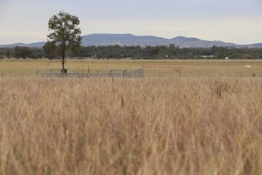 Ona Ona Road Roma QLD 4455 - Image 1