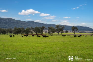7458 Bylong Valley Way Bylong NSW 2849 - Image 1