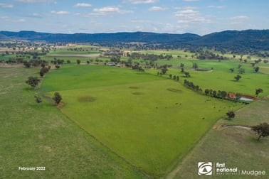 7458 Bylong Valley Way Bylong NSW 2849 - Image 2