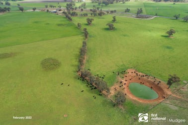 7458 Bylong Valley Way Bylong NSW 2849 - Image 3