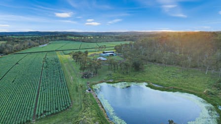 216 Snake Creek Road Bungadoo QLD 4671 - Image 1