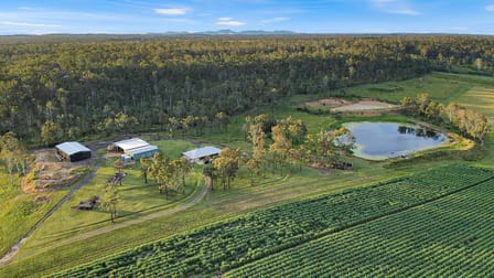216 Snake Creek Road Bungadoo QLD 4671 - Image 3