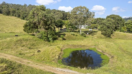 47 Tamlyn Road Kenilworth QLD 4574 - Image 3