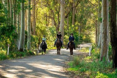 50 Comberton Grange Road Falls Creek NSW 2540 - Image 1