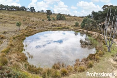 2042 Hill End Road Sallys Flat NSW 2850 - Image 3