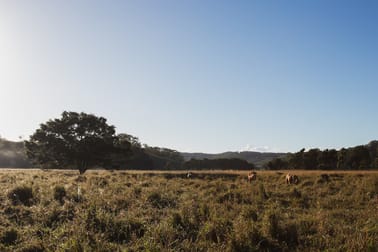 912 Round Mountain Road Reserve Creek NSW 2484 - Image 3