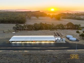 377 Racecourse Road Redesdale VIC 3444 - Image 2