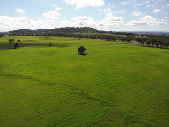 40 Hills Lane Inverell NSW 2360 - Image 2