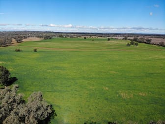 40 Hills Lane Inverell NSW 2360 - Image 3