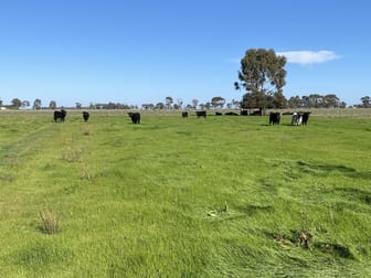 421 Mckenzie Road Kerang VIC 3579 - Image 1