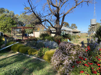 421 Mckenzie Road Kerang VIC 3579 - Image 3