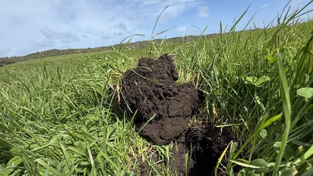 Click to view all images 175 Pethers Lane Canunda SA 5280 - Image 3