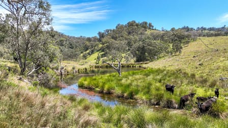 Rimrock/669 Linton Road Barraba NSW 2347 - Image 1