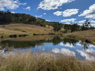Rimrock/669 Linton Road Barraba NSW 2347 - Image 3