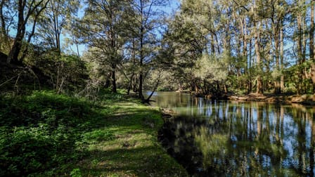 373 Riverlea Road Mudgee NSW 2850 - Image 3
