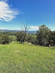 Lot 101 Beitibombi Creek Road Wherrol Flat NSW 2429 - Image 3