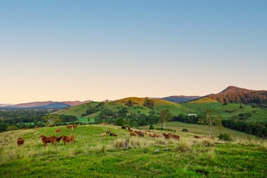 488 Commissioners Flat Road Peachester QLD 4519 - Image 2