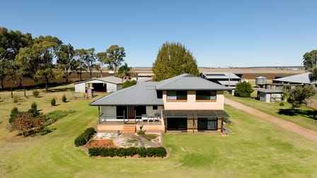 209 Dungannon Road Clifton QLD 4361 - Image 1