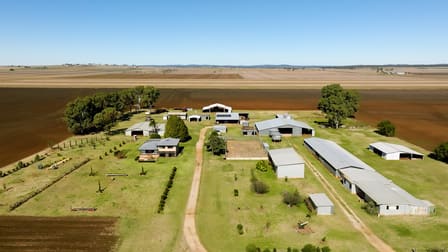 209 Dungannon Road Clifton QLD 4361 - Image 2