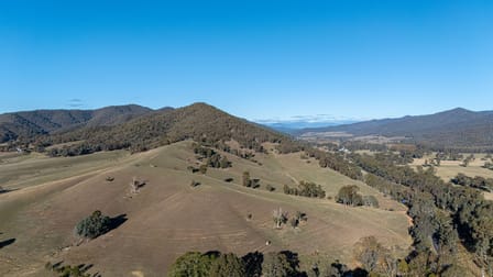 Lot 2 Great Alpine Road Ovens VIC 3738 - Image 1