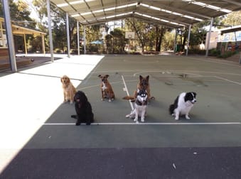 Animal Related  business for sale in Melbourne - Image 2