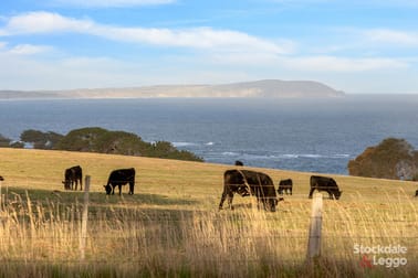 225 Gap Road Ventnor VIC 3922 - Image 3
