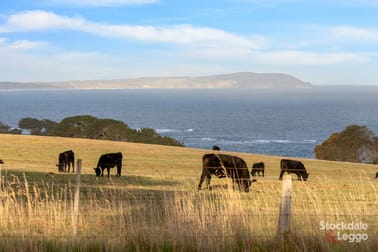 225 Gap Road Ventnor VIC 3922 - Image 3