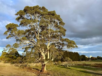 Cross-Forest Road Cobden VIC 3266 - Image 1