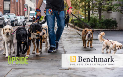 Animal Related  business for sale in Sydney Region NSW - Image 1