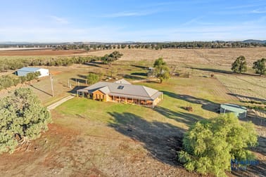 1010 Dinga Dingi Road Stockinbingal NSW 2725 - Image 1