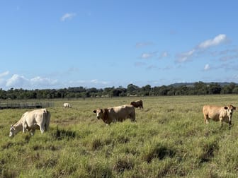 "KOOLIBAH" 1294 Prospect Creek -Goovigen Road Orange Creek QLD 4715 - Image 3