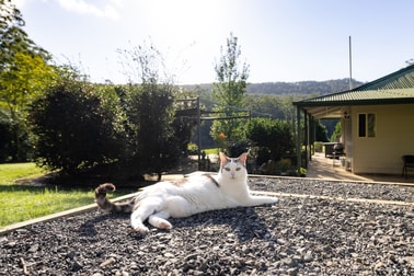 460 Waitui Road Waitui NSW 2443 - Image 2